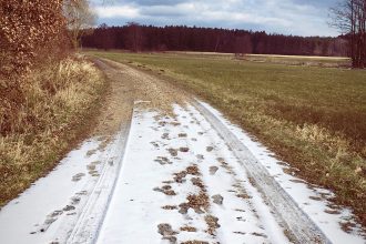 Vertraue in das Leben